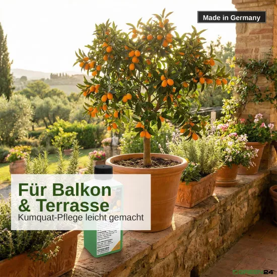 Kumquat-Dünger – NPK Flüssigdünger für Fortunella, Zwergorange, Zwergpomeranze – 250 ml Konzentrat