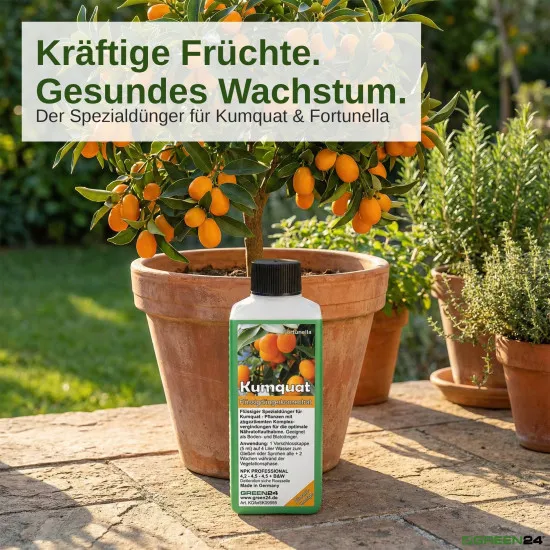 Kumquat-Dünger – NPK Flüssigdünger für Fortunella, Zwergorange, Zwergpomeranze – 250 ml Konzentrat