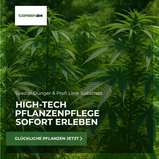 Hanf-Dünger Universal – 250ml All-In-One Spezialdünger für Cannabis | Für kräftiges Wachstum & üppige Blüte | Ideal für Sativa, Indica & Ruderalis