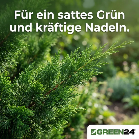 Zypressen-Dünger – Flüssigdünger für Cupressus, Cupressocyparis und weitere Arten 250ml