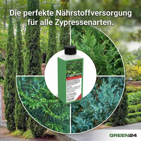Zypressen-Dünger – Flüssigdünger für Cupressus, Cupressocyparis und weitere Arten 250ml