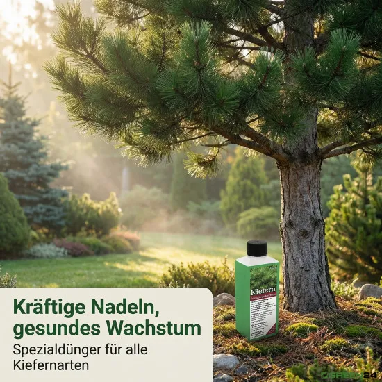 Kiefern-Dünger - Flüssigdünger für Pinus nigra, Pinus pinea, Pinus strobus, Pinus sylvestris, Pinus mugo etc. 250ml