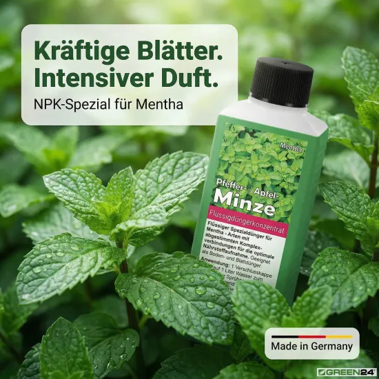 Minze-Dünger - Mentha Flüssigdünger für Minze, Pfefferminze, Apfelminze - 250 ml