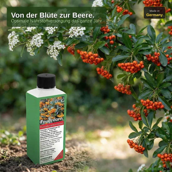 Feuerdorn-Dünger – Pyracantha Flüssigdünger – 250ml Super-Konzentrat