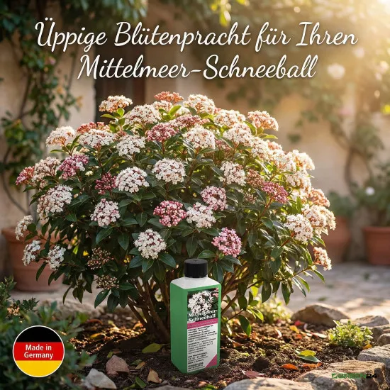 Mittelmeer-Schneeball Dünger - Viburnum tinus Flüssigdünger- Lorbeerschneeball - Immergrüner Schneeball 250ml
