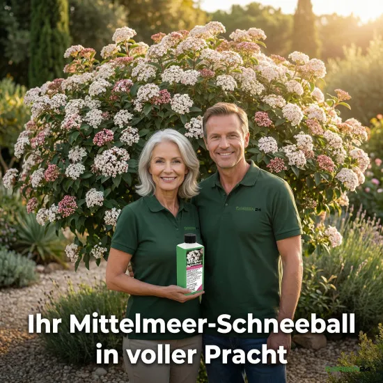Mittelmeer-Schneeball Dünger - Viburnum tinus Flüssigdünger- Lorbeerschneeball - Immergrüner Schneeball 250ml