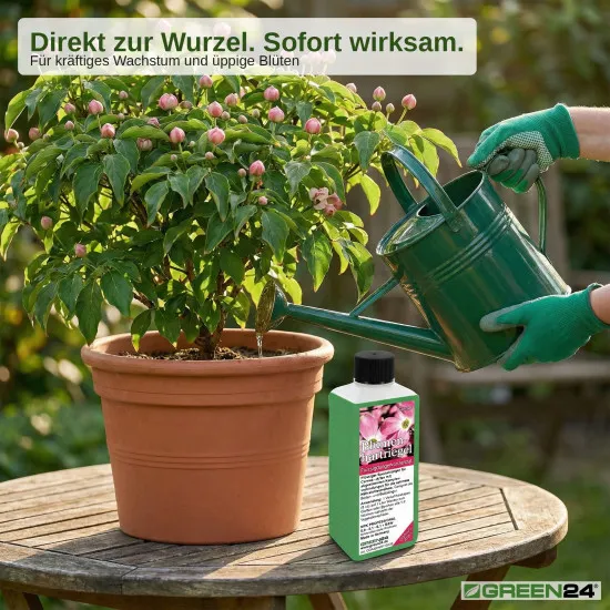 Blumenhartriegel-Dünger - Cornus kousa Flüssigdünger für Blüten-Hartriegel - NPK 250 ml