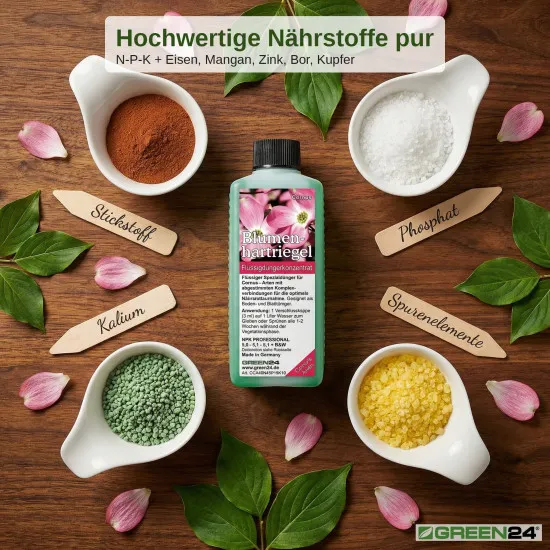 Blumenhartriegel-Dünger - Cornus kousa Flüssigdünger für Blüten-Hartriegel - NPK 250 ml