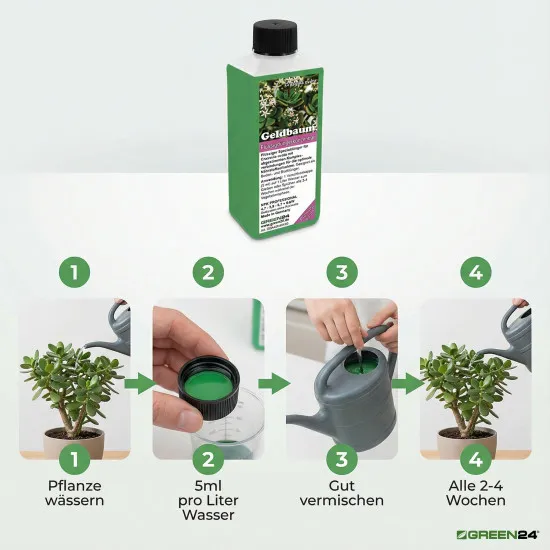 Geldbaum-Dünger Pro – 250ml NPK-Konzentrat für Crassula ovata | Pfennigbaum düngen für kräftige Blätter & üppige Blüten | Sukkulenten-Dünger mit Spurenelementen