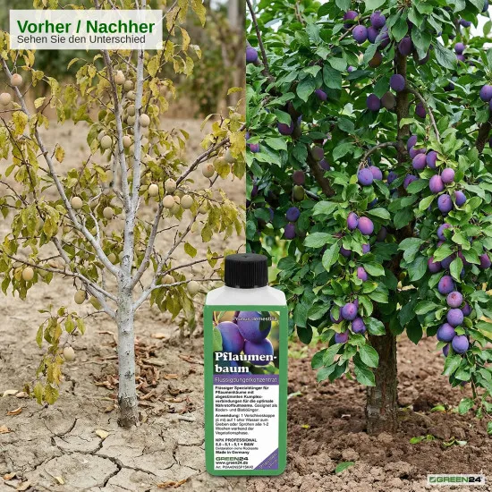 Pflaumenbaum-Dünger – Prunus domestica NPK Flüssigdünger 250ml für kräftige Blätter, Blüten und Früchte 250 ml