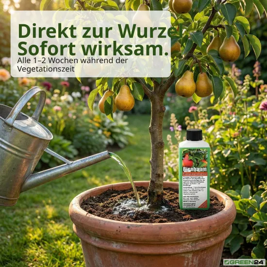 Birnbaum-Dünger, Pyrus communis NPK Flüssigdünger für robusten Wuchs und reichhaltige Ernte 250 ml