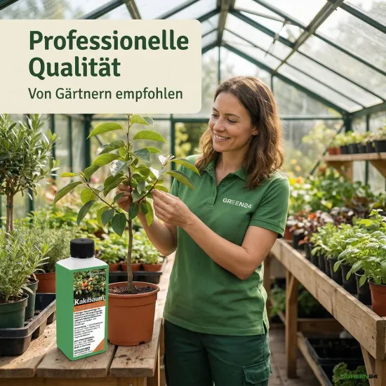 Kakibaum-Dünger - Diospyros kaki Flüssigdünger für reichhaltige Früchte 250 ml