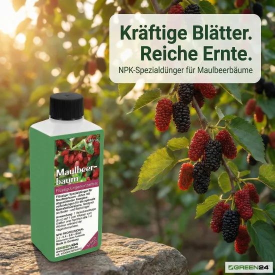 Maulbeerbaum-Dünger – Morus NPK Flüssigdünger für gesunden Wuchs und üppige Ernte 250 ml