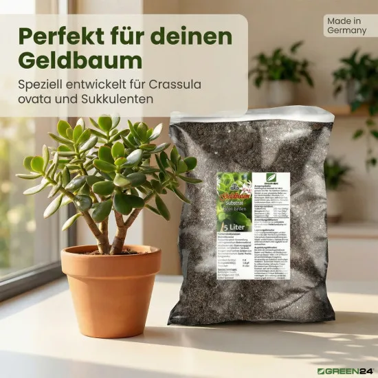 Geldbaum Substrat PROFI LINIE – 5L Spezialerde für Crassula ovata & Sukkulenten , Erde zum Umtopfen und Einpflanzen