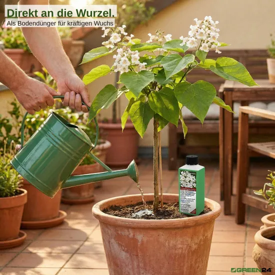 Trompetenbaum-Dünger 250 ml Catalpa bignonioides NPK Flüssigdünger für gesunden Wuchs und Blütenpracht