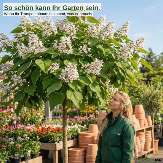 Trompetenbaum-Dünger 250 ml Catalpa bignonioides NPK Flüssigdünger für gesunden Wuchs und Blütenpracht