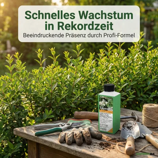 Liguster-Dünger, 250ml NPK Konzentrat mit Spurenelementen, für dichte & gesunde Ligusterhecken, schnelles Wachstum