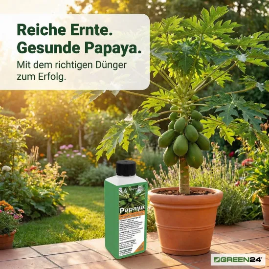 Papaya-Dünger – Carica papaya NPK Flüssigdünger für gesunden Wuchs und reiche Ernte 250 ml