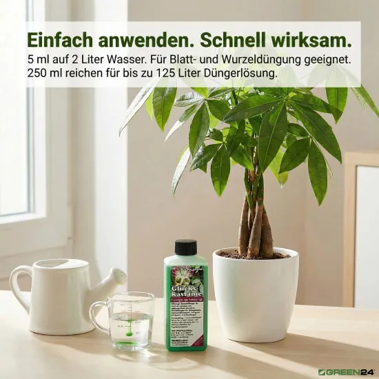 Glückskastanie-Dünger: Pachira aquatica - Effektiver NPK Flüssigdünger 250 ml für gesundes Wachstum