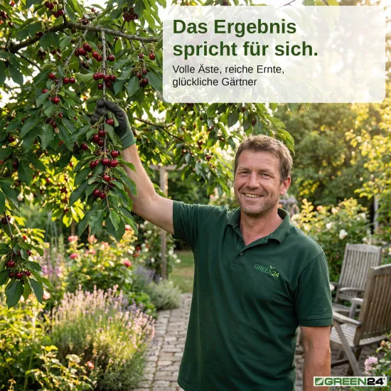 Kirschbaum-Dünger – Süß- und Sauerkirschen NPK Flüssigdünger Prunus avium und Prunus cerasus 250 ml