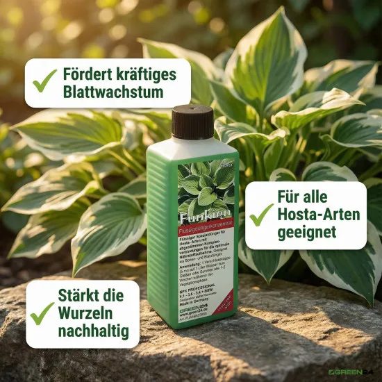 Funkien-Dünger – Dünger für Hosta 250 ml NPK Flüssigdünger