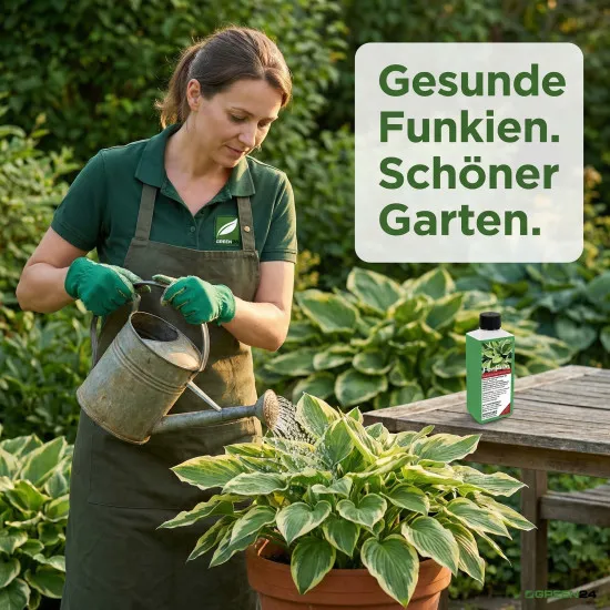 Funkien-Dünger – Dünger für Hosta 250 ml NPK Flüssigdünger