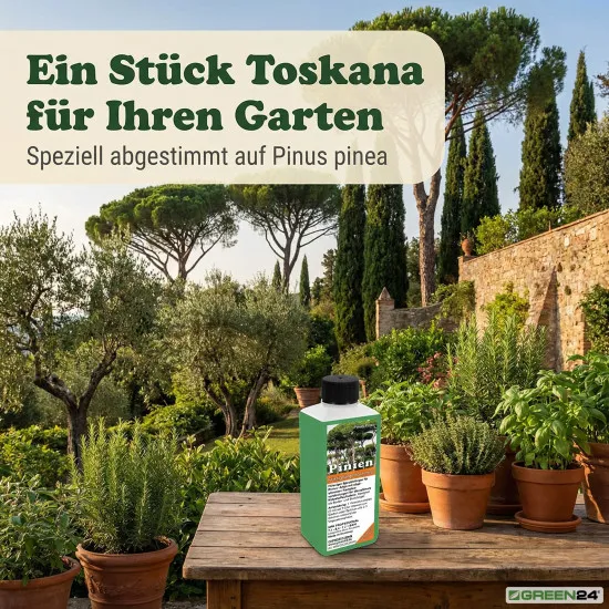 Pinien-Dünger – Pinus pinea NPK Spezialdünger für prächtige Mittelmeer-Pinien 250ml