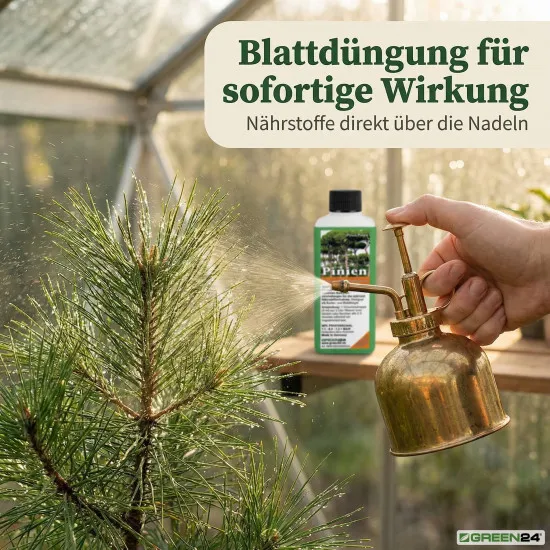 Pinien-Dünger – Pinus pinea NPK Spezialdünger für prächtige Mittelmeer-Pinien 250ml