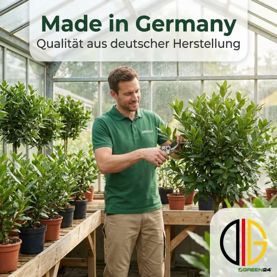 Gewürzlorbeer-Dünger für Laurus nobilis – Optimale Pflege und Vitalität für Ihren Echten Lorbeer NPK 250ml