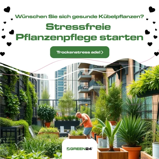 WurzelInfusion X Kapillar-Aktiv Booster 250 ml - Reanimiert Pflanzen sofort. Neue Wasser-, Dünger- & Pflanzenschutz-Effizienz