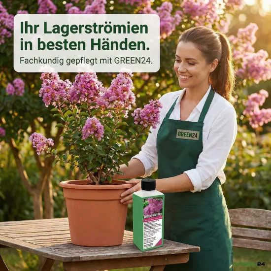Lagerstroemia Dünger – 250ml Spezialdünger für Kräuselmyrte | Fördert üppige Blüten & kräftiges Wachstum | Ideal für alle Lagerstroemia-Sorten