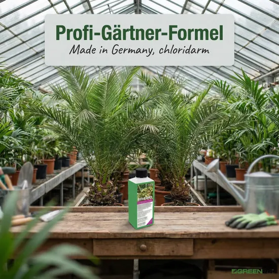 Dattelpalmen-Dünger – 250ml Spezialdünger für Phoenix | Fördert kräftige Wedel & sattes Grün | Ideal für alle Dattelpalmen-Arten