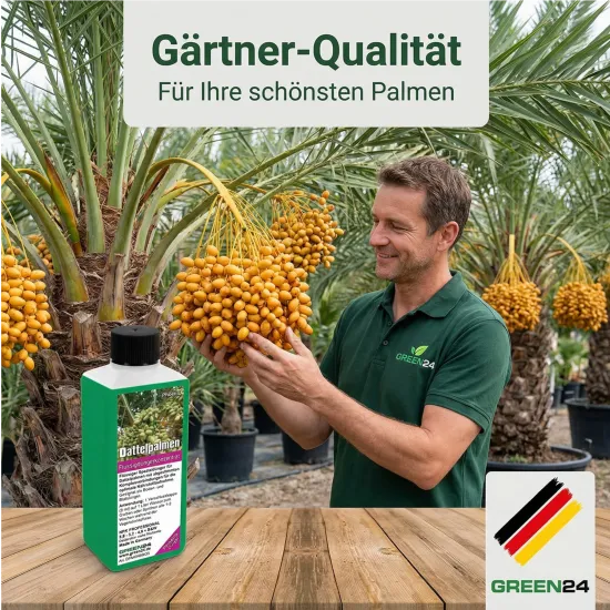 Dattelpalmen-Dünger – 250ml Spezialdünger für Phoenix | Fördert kräftige Wedel & sattes Grün | Ideal für alle Dattelpalmen-Arten