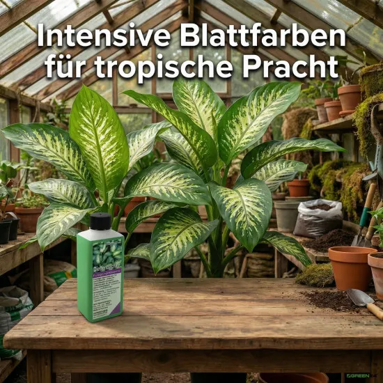 Dieffenbachia Dünger – 250ml Spezialdünger für Dieffenbachie | Fördert kräftiges Wachstum & intensive Blattfarben | Ideal für alle Dieffenbachia-Arten