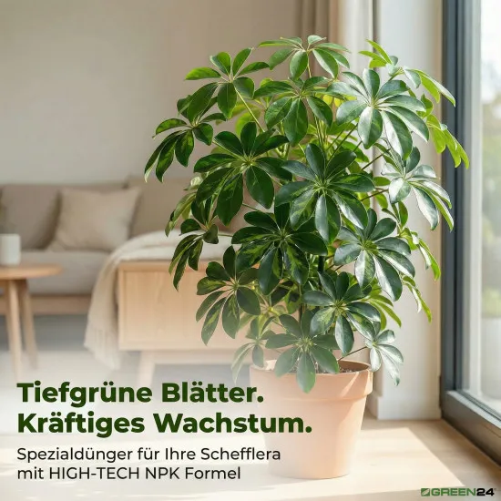 Strahlenaralie Dünger – 250 ml Flüssigdünger für Schefflera, Regenschirmpflanze & Zwerg-Schefflera – HIGH-TECH NPK Perfekt für kräftiges Wachstum & tiefgrüne Blätter – Made in Germany
