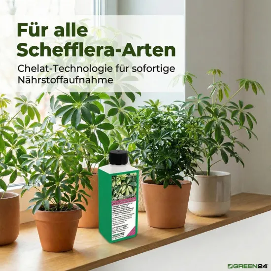 Strahlenaralie Dünger – 250 ml Flüssigdünger für Schefflera, Regenschirmpflanze & Zwerg-Schefflera – HIGH-TECH NPK Perfekt für kräftiges Wachstum & tiefgrüne Blätter – Made in Germany