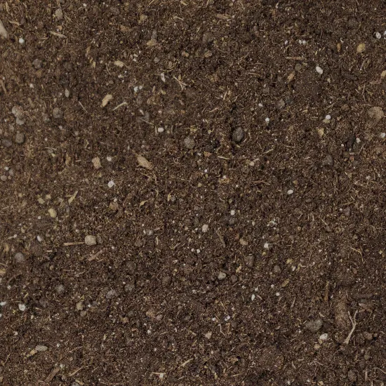 Weihnachtsstern-Erde Premium – 10L Spezialsubstrat für Euphorbia pulcherrima - PROFI LINIE