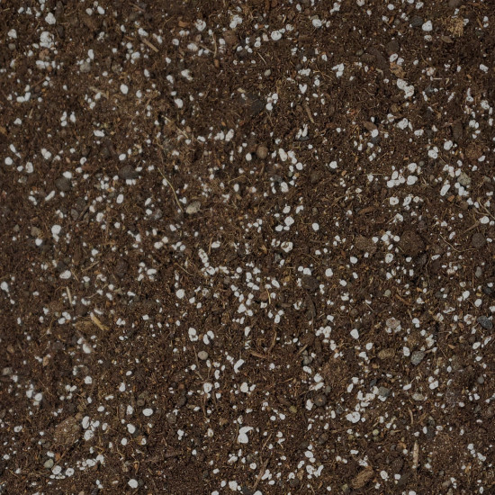 Yucca-Erde Premium – 10L Spezialsubstrat für majestätische Palmlilien und Sukkulenten - PROFI LINIE