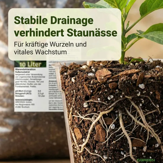 Engelstrompeten-Erde Premium 10L - Spezialsubstrat für spektakuläre Blütenpracht