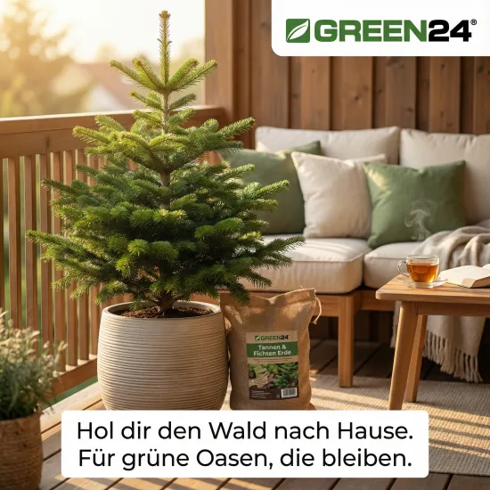 Tannen & Fichten Erde 10L Profi Linie – Das Waldboden-Substrat für gesunde Nadelbäume