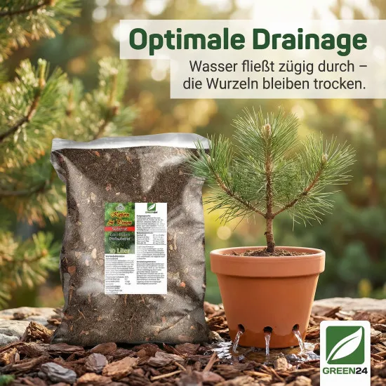 Kiefern & Pinien Erde 10L Profi Linie – Das Meister-Substrat für Pinus und mediterrane Pinus Pinea