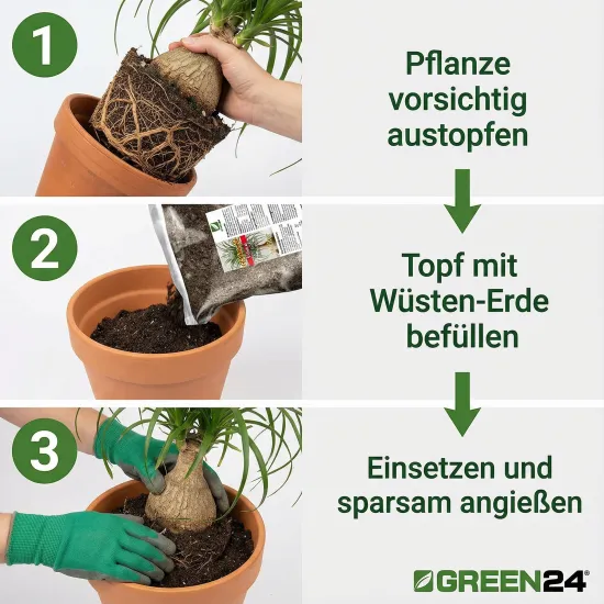 Elefantenfuß-Erde 10L Profi Linie - Das Wüsten-Substrat für den Überlebenskünstler