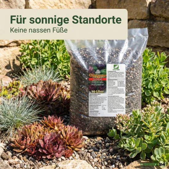 Steingarten Erde 10L Profi-Linie – Mineralisches Substrat für trockenliebende Pflanzen