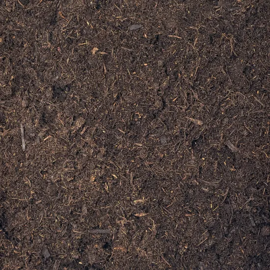 Magnolien Erde 10L Profi Linie – Das Edel-Substrat für spektakuläre Blütenpracht