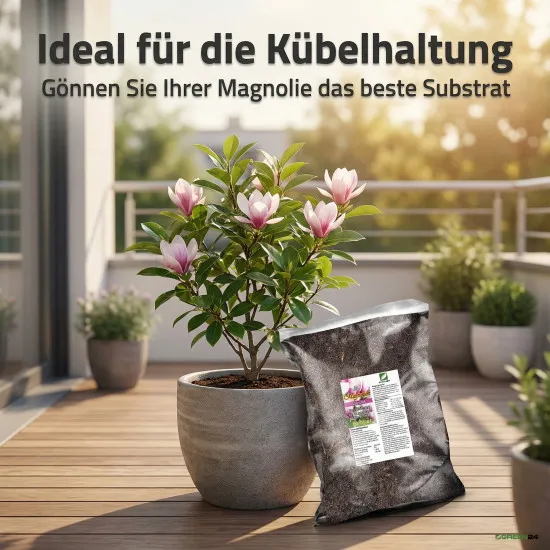 Magnolien Erde 10L Profi Linie – Das Edel-Substrat für spektakuläre Blütenpracht