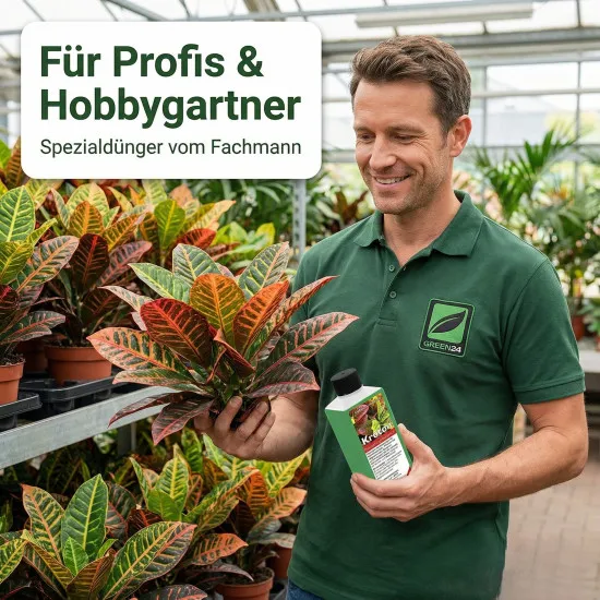Kroton Dünger 250 ml – Flüssigdünger für Codiaeum variegatum, Wunderstrauch