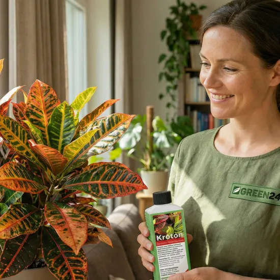 Kroton Dünger 250 ml – Flüssigdünger für Codiaeum variegatum, Wunderstrauch