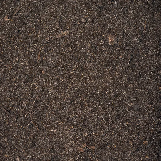 Thuja Umpflanz-Set - 10L Hecken-Substrat + 250ml Dünger für dichten Sichtschutz