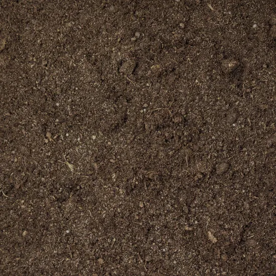 Elefantenfuß Umpflanz-Set - 10L Wüsten-Substrat + 250ml Spezialdünger