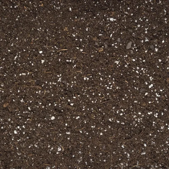 Weinreben Umpflanz-Set - 10L Winzer-Substrat + 250ml Spezialdünger